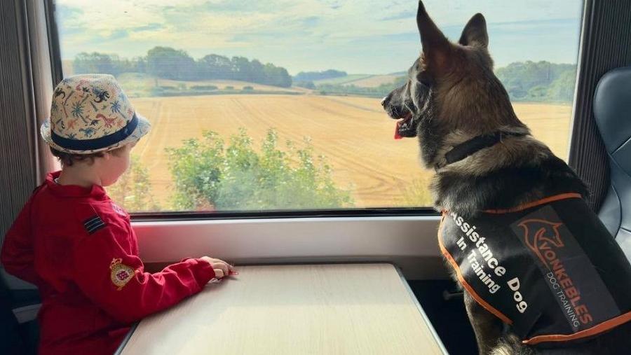 Bodhi on the left wearing a red jumper and a hat looking out of a train window. A German Shepherd is sat next to him with a jacket on that saying "assistance dog in training".