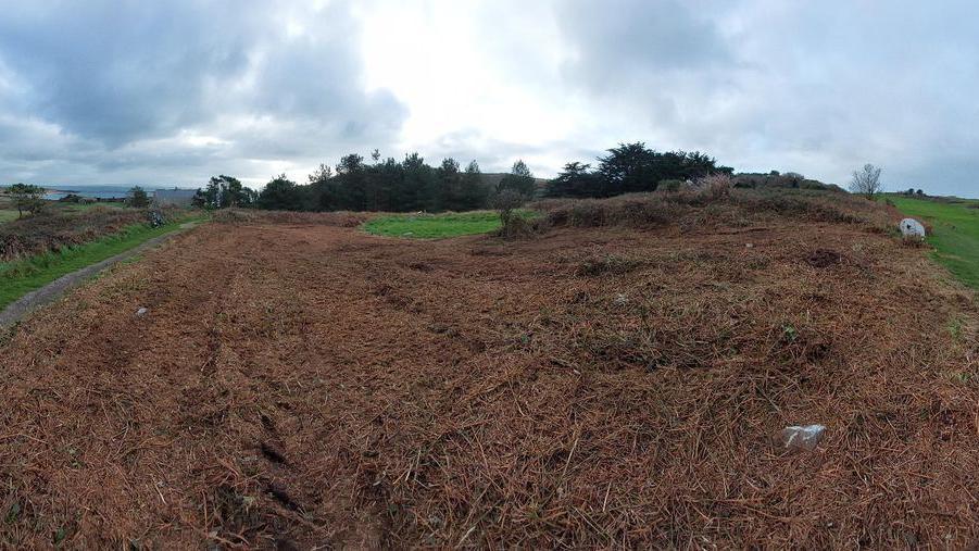 Trimmed land in Alderney in preparation for excavation