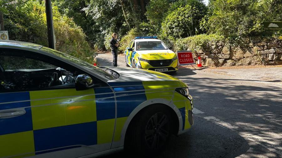 Police cars stand in the village of Haytor 