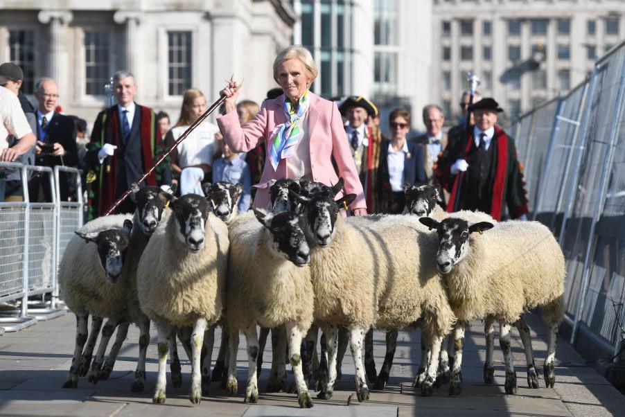 Mary Berry wearing a pink jacket and holding a stick walks behind several sheep along London Bridge with members of the City of London Corporation walking behind her