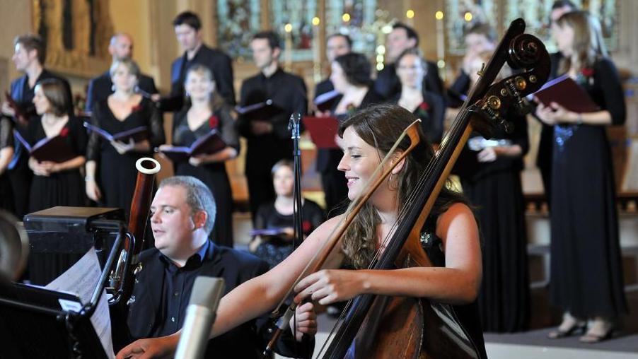 Musicians play in an orchestra 