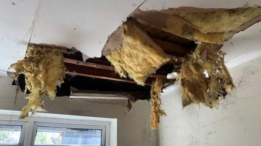 A collapsed ceiling. Yellow insulation can be seen dropping through the white plaster and wooden beams are visible. The plaster is very cracked around the hole and the wall is marked with dirt. 