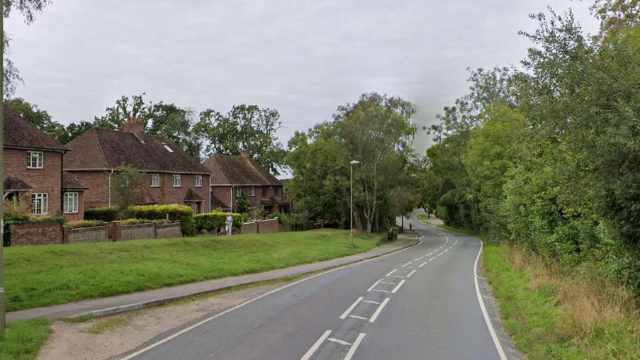 A winding road with short separation between the two lanes shows a row of house along one side. 