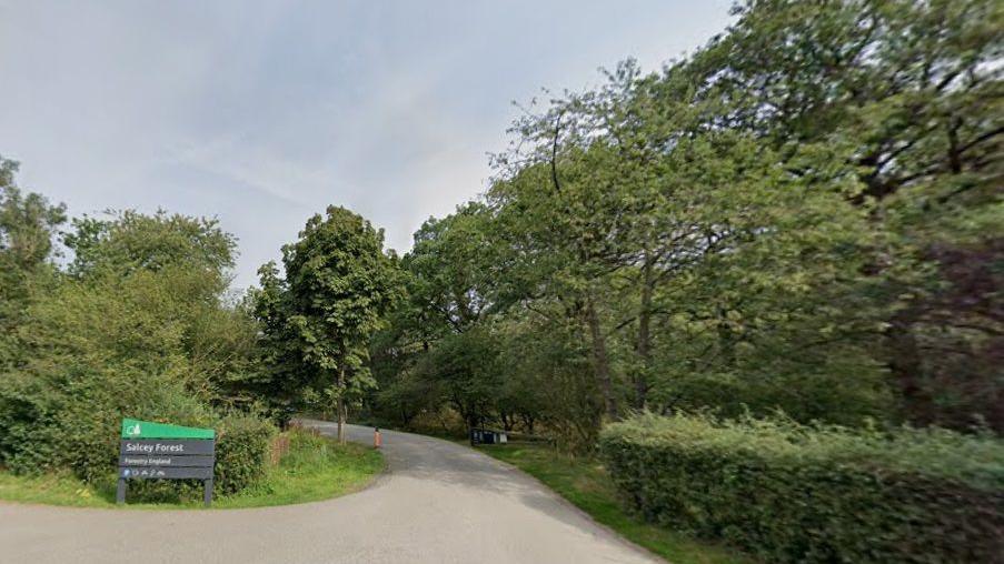 Entrance to Salcey Forest, with green sign to the left and drive towards the car park, with hedges and trees to the left and right