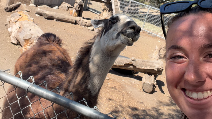 Nottingham Forest player at the wildlife centre in Canada