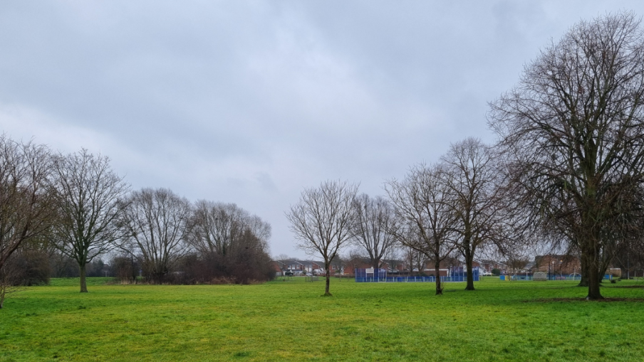 A view of a park showing grass and trees with buildings in the background.