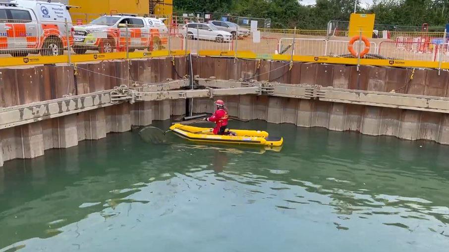 Ducks being rescued