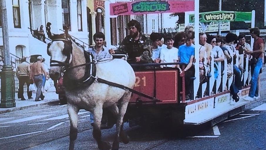 A old photograph of an open top horse tram being driven by Peter Cannon and pulled by a white horse. 