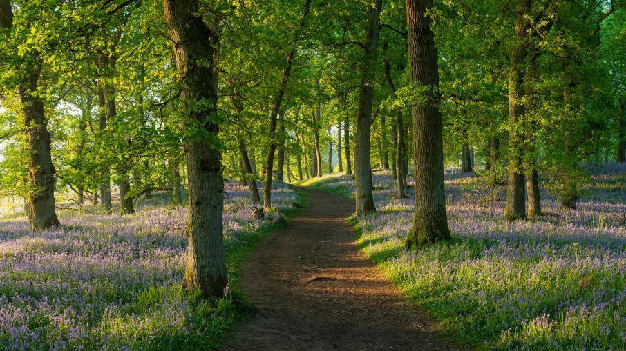 Justin Laidlaw winning image of springtime 