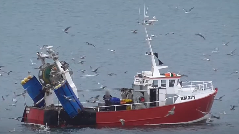 The Angelena boat on the water, surrounded by flying seagulls. It has a red hull and white railings 