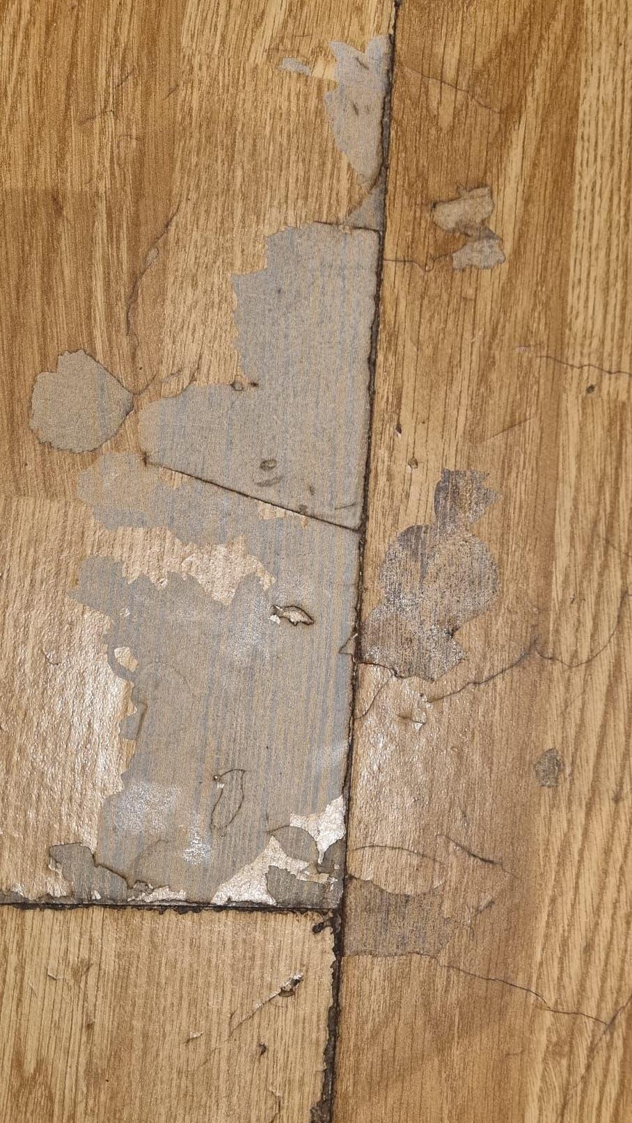 Damaged wooden floor boards with patches of white on them.