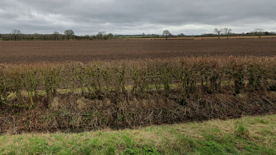 An expanse of fields