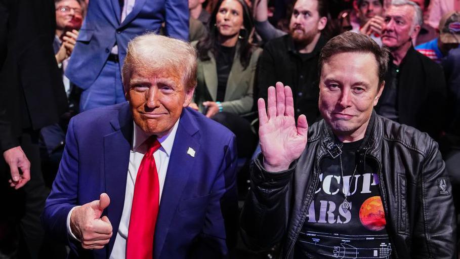 Donald Trump and Elon Musk pose for a photo during the UFC 309 event at Madison Square Garden on 16 November, 2024 in New York City