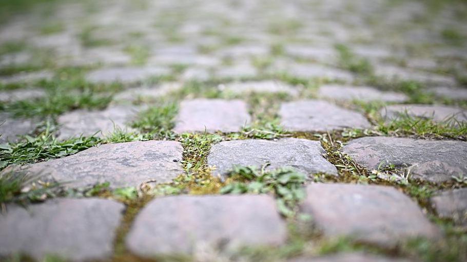 Le Pave at Paris-Roubaix