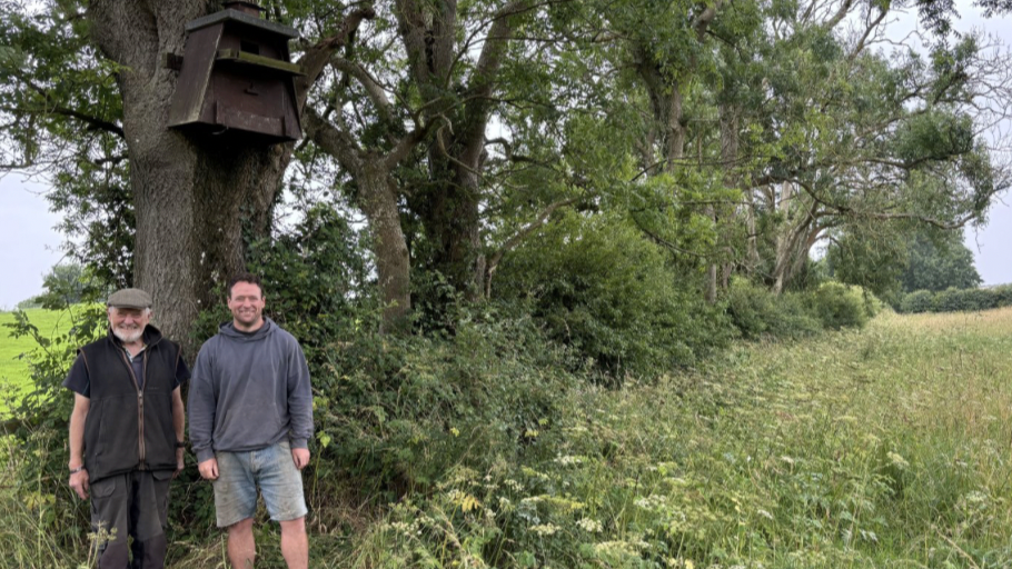 Jack and Adam Kelly standing next to the nest boxes installed by Ulster Wildlife on their Ballyalton farm.