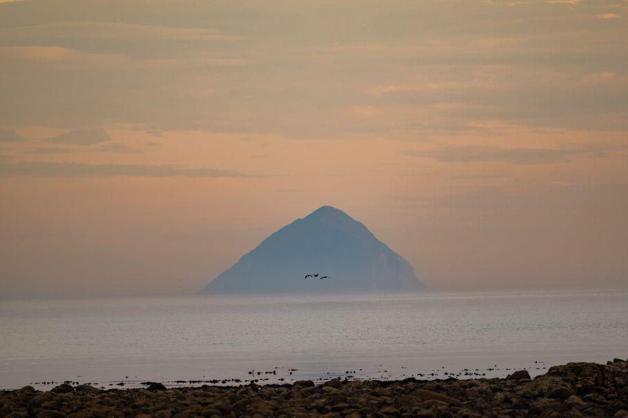 A cone-shaped island at sunset under a pastel-coloured sky, with three birds flying across the shot above the sea.