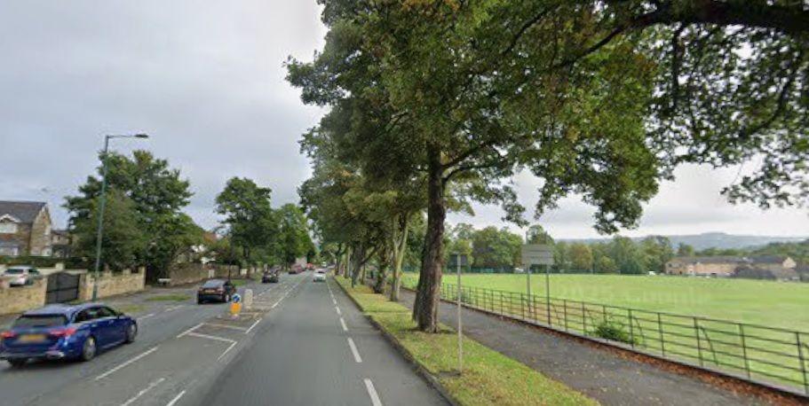 A tree-lined suburban road with cars driving along. A field is on one side of the road, with houses along the other.