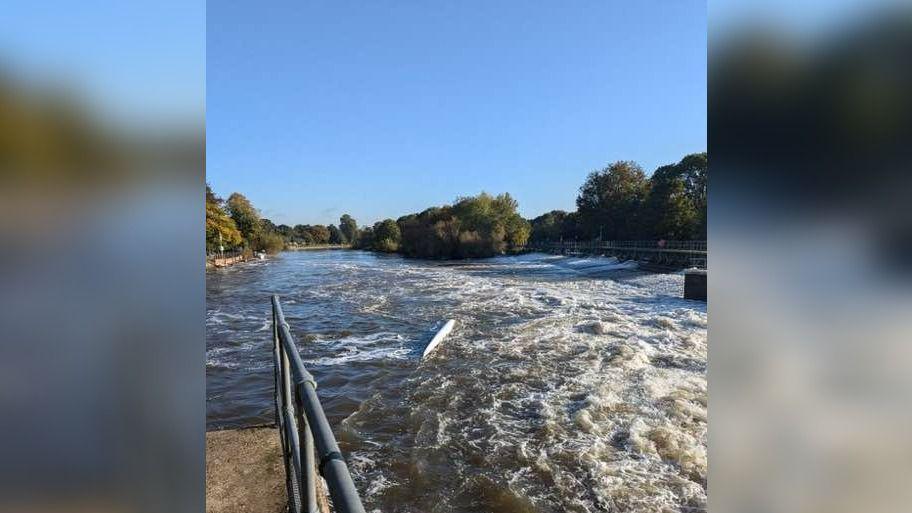 The river is seen flowing fast in a photograph which looks like it has been taken from a jetty just visible in the foreground. The sky is blue and an island with trees on is seen further down the river.