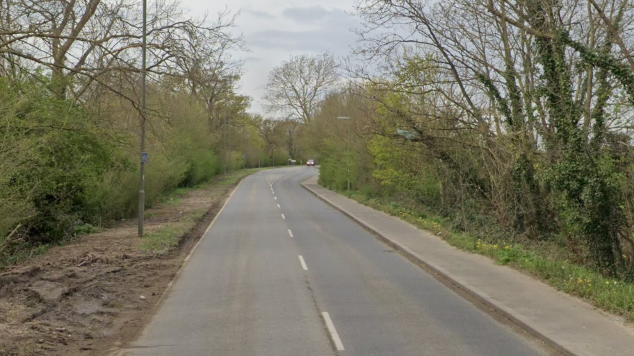 A Google Street image of an empty road with trees either side.