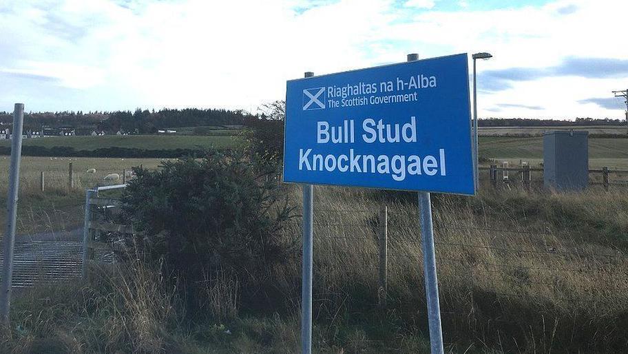 A blue sign next to the entrance to Knocknagael farm. The sign reads: Bull Stud Knocknagael.