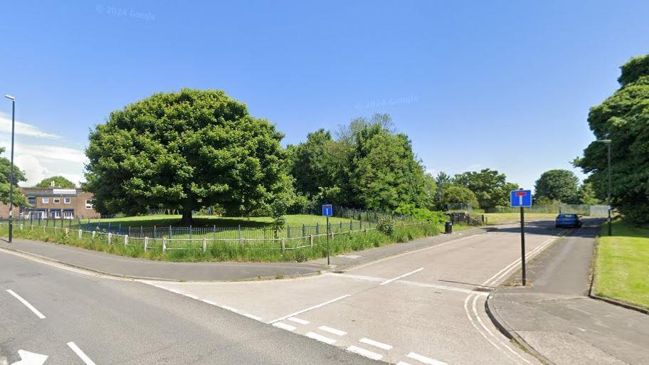 A general view of the entrance to Sycamore Drive in Sunderland