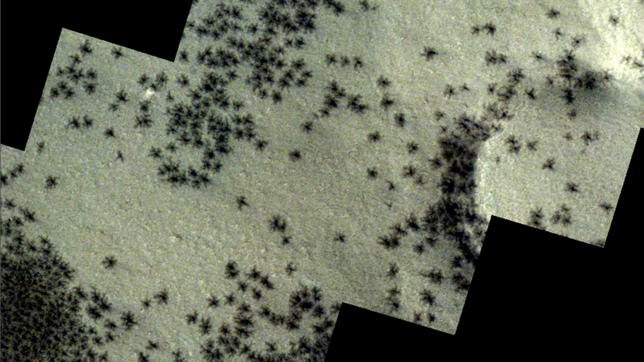 Dark 'spider-shaped' spots on the surface of Mars