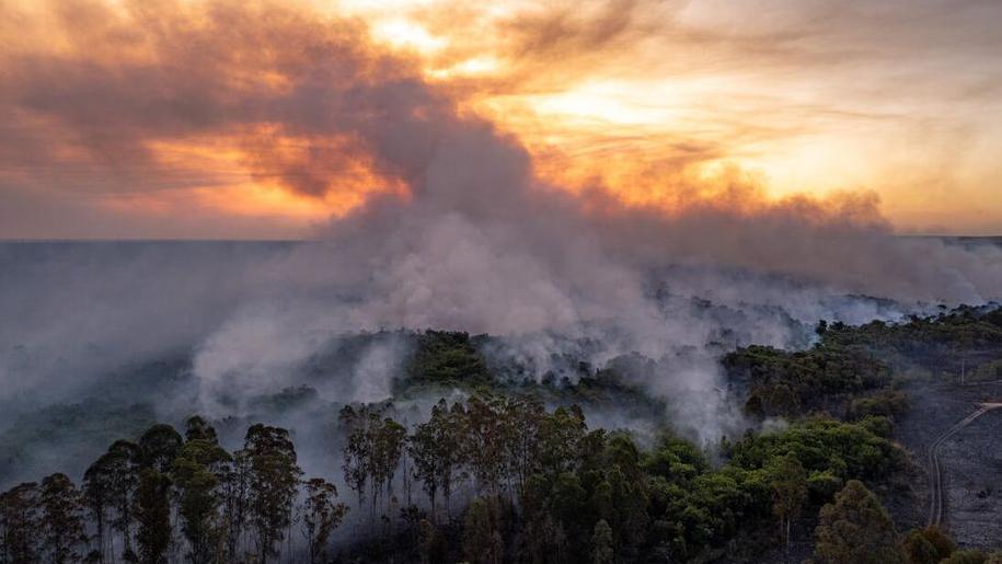 Fires in the Brasília National Park, Brazil