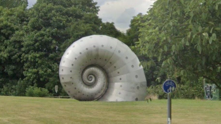 Chesterfield mollusc 