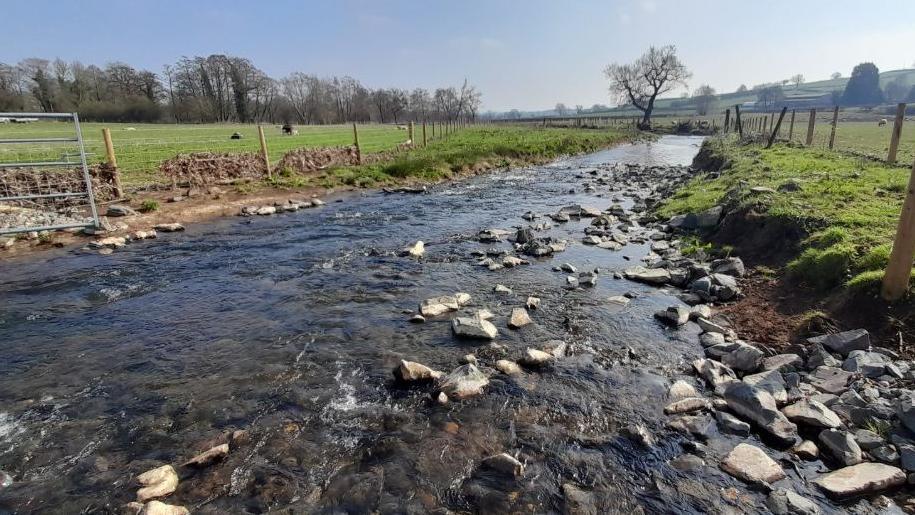 The new channel looks to be shallow, there are rocks in it, and grass banks on either side.