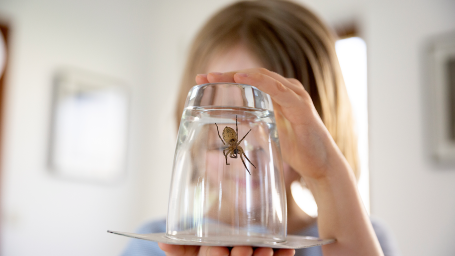 A girl holds a spider inside a glass towards the camera - beneath the upturned glass she is holding a piece of card which is capturing the spider. The background and her face are blurred to avoid identification
