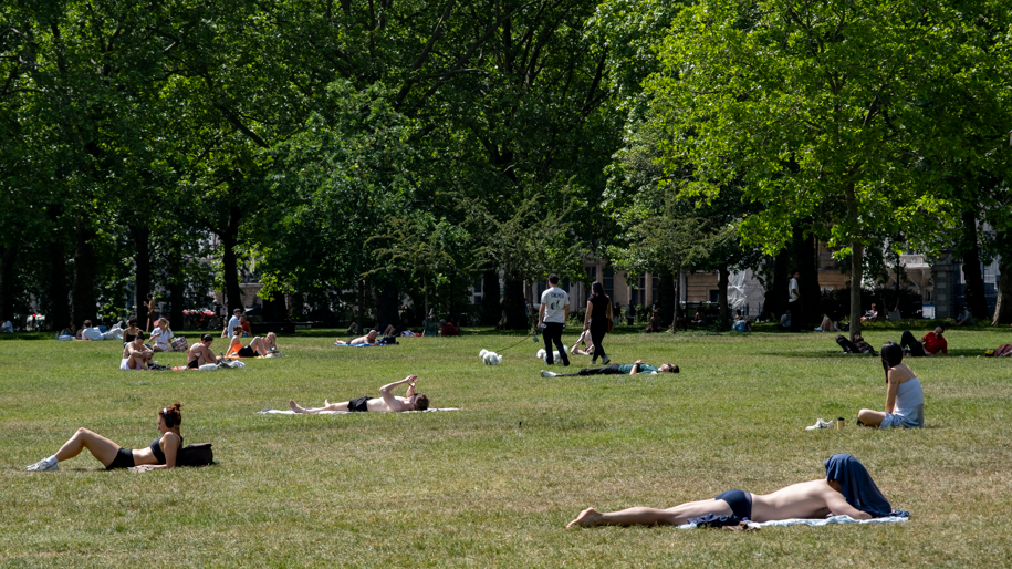 Sunbathers lying in the grass at a park in London on a sunny day