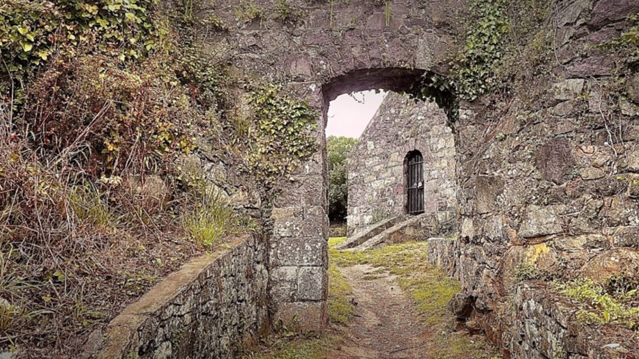 A old castle covered in ivy.