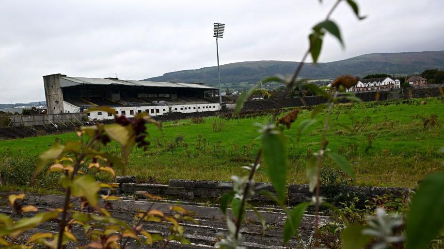 A view of Casement park from amongst the weeds