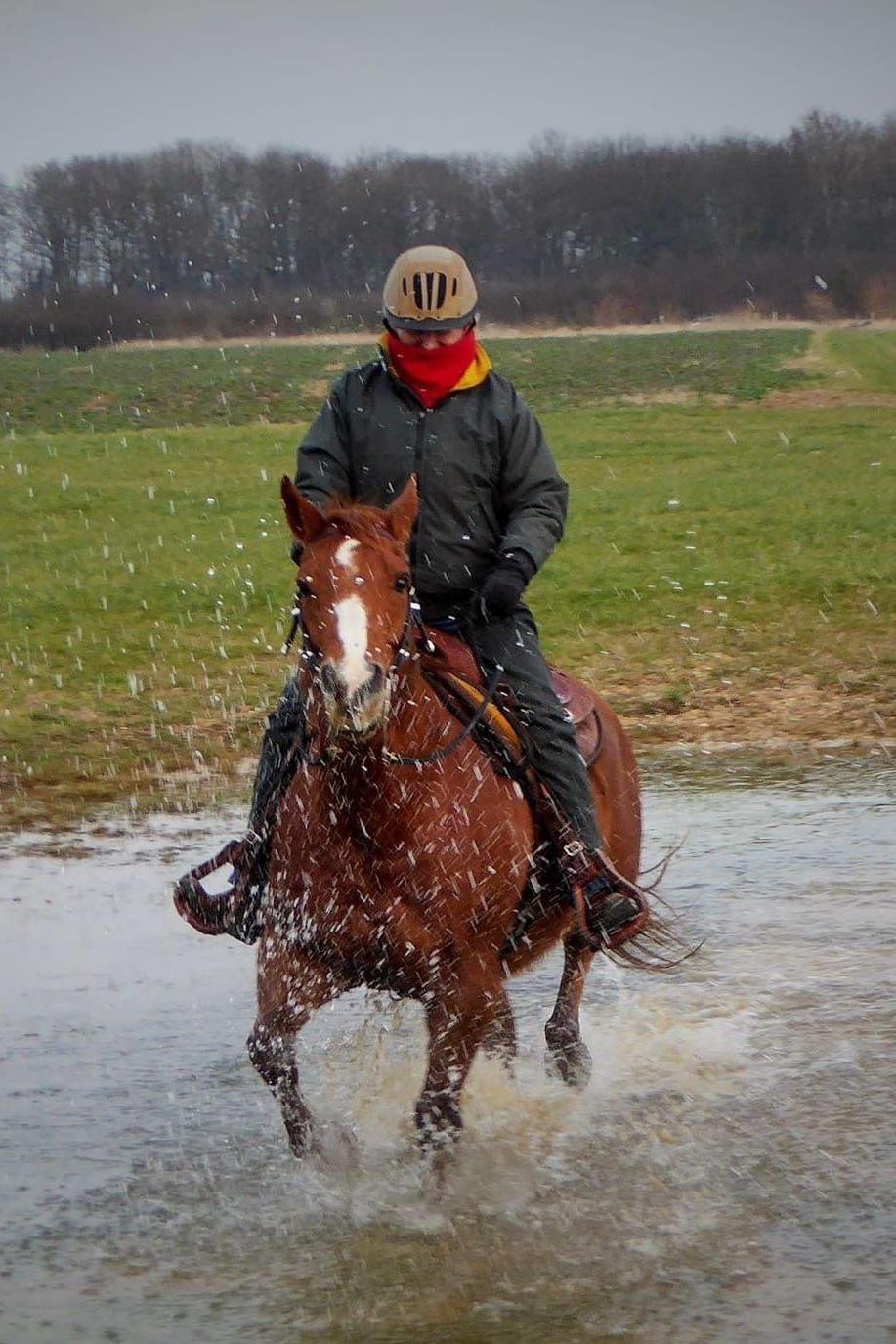 Julie Doorne rides her brown horse through a body of water, she is wearing a black jacket, red scarf, and riding hat.