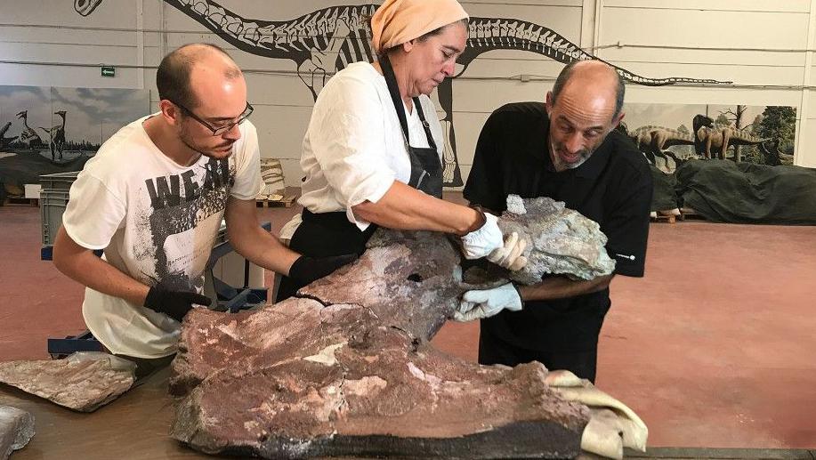 scientists taking part in the restoration process of the fossil