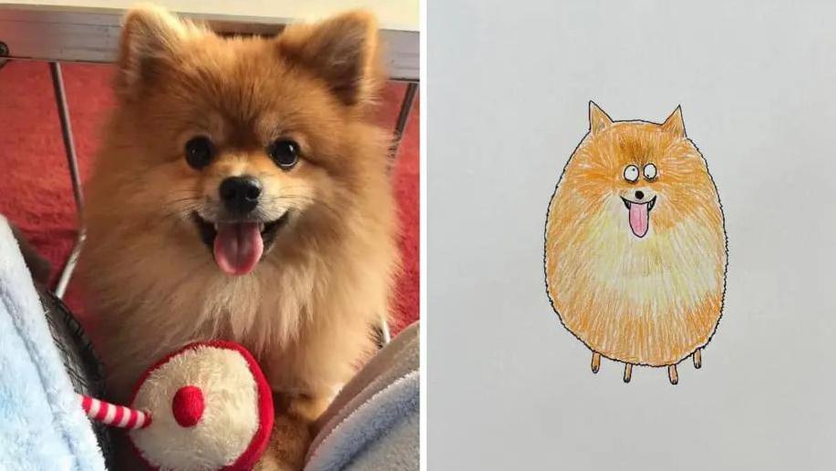 A close up image of a small fluffy dog with a tongue hanging out alongside a drawing of the same dog by Hercule van Wolfwinkle.