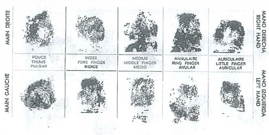 Notice to Interpol showing prints of the Isdal woman's fingerprints