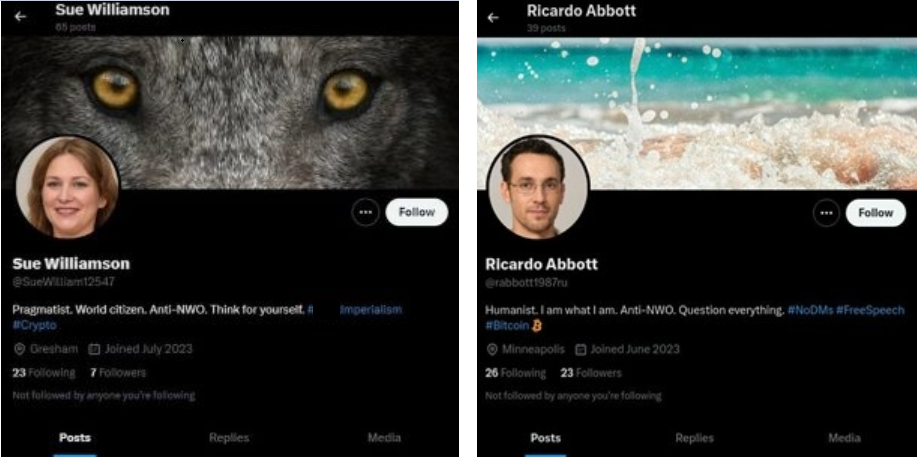 Two X accounts, one of "Sue Williamson", bio reading "Pragmatist, World citizen, Anti-NWO, think for yourself", with seven followers and one of "Ricardo Abbott", bio reading "Humanist, I am what I am, Anti-NWO, Question everything", with 23 followers.