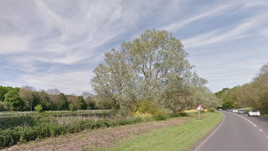 A single carriageway road with some cars heading towards the camera and a left bend sign. Water is visible on the left, separated by a verge and trees from the road.