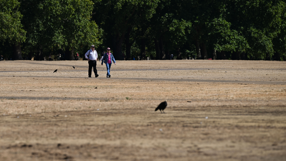 Two people walk along a scorched field in Hyde Park following a prolonged period of heat and little rainfall