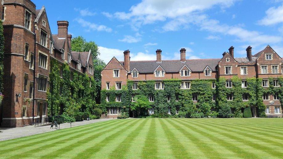 An external view of Selwyn College. It shows four storey red brick buildings at a right angle to each other, and their lower halves covered in green ivy. In front of them is a green lawn, mowed into stripes. Above is blue sky with some white clouds. 