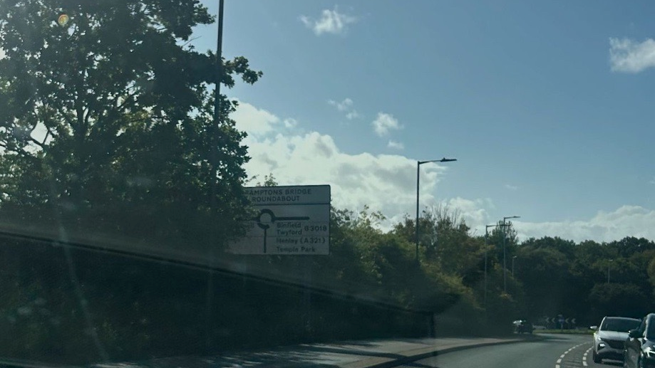 White road sign partly covered with overgrown tree branches 