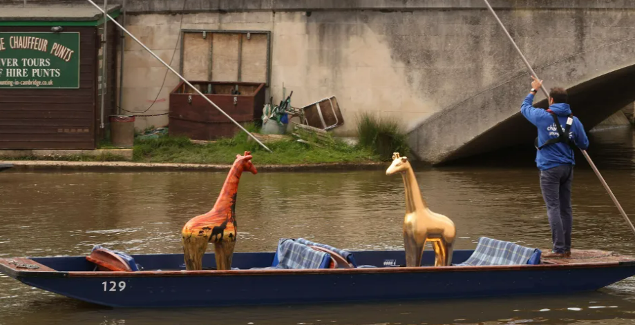 Two mini giraffe sculptures punting on a river