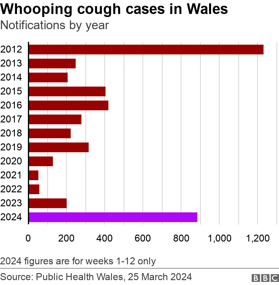 A graph showing the number of whooping cough cases in Wales by year