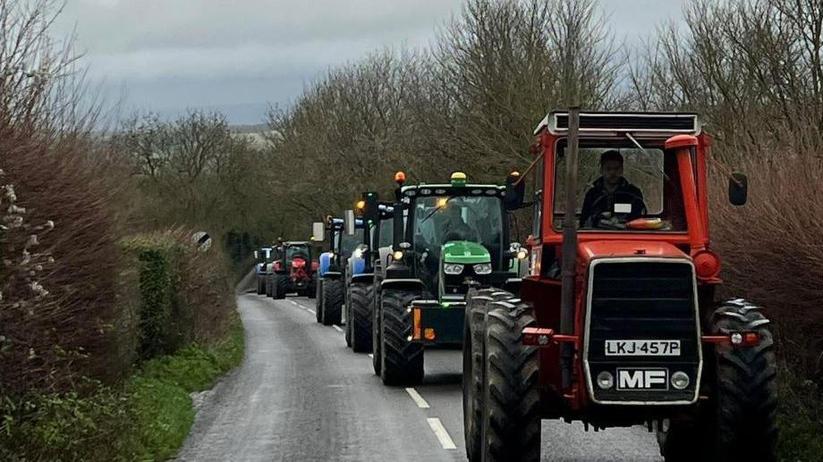 A line of six red, green and blue tractors driving along road, which is lined with tall bushes and trees.