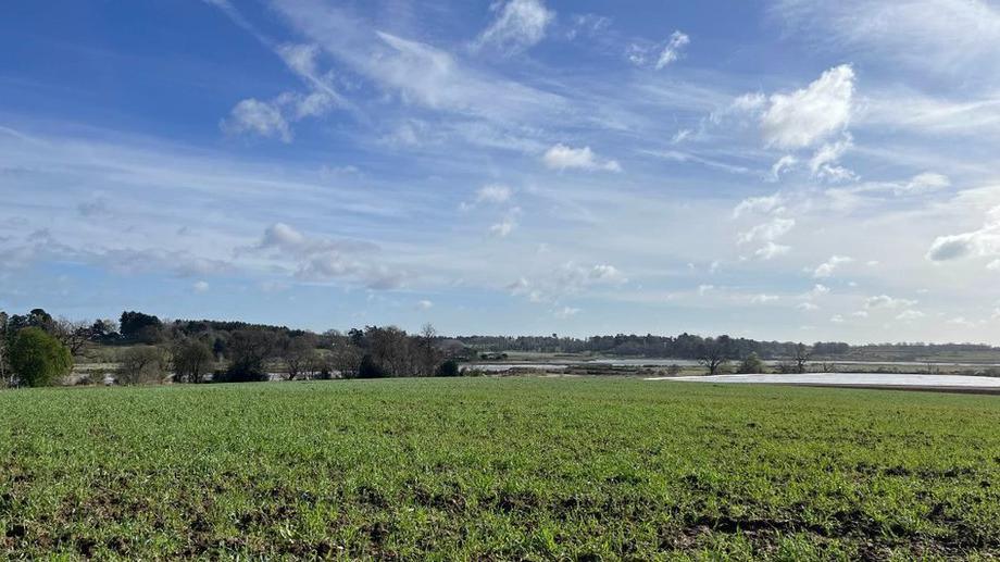 Farmland at Martlesham