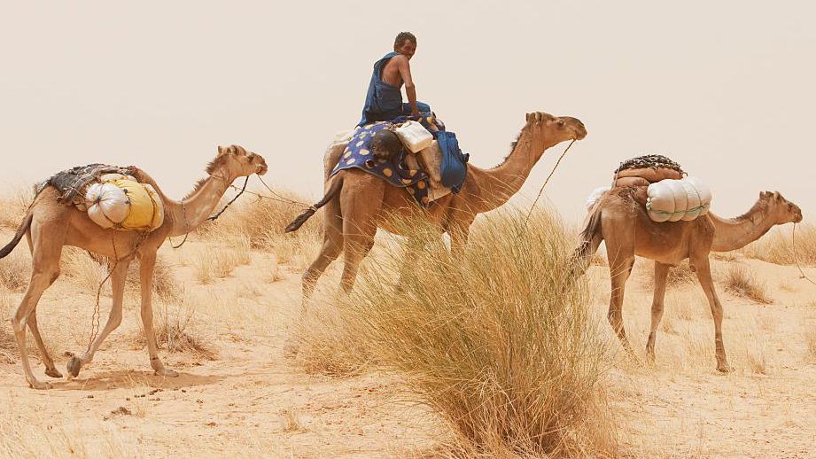 A Tuareg man rides a camel with some goods on it, with another camel in front and at the back, in Mali (archive shot)