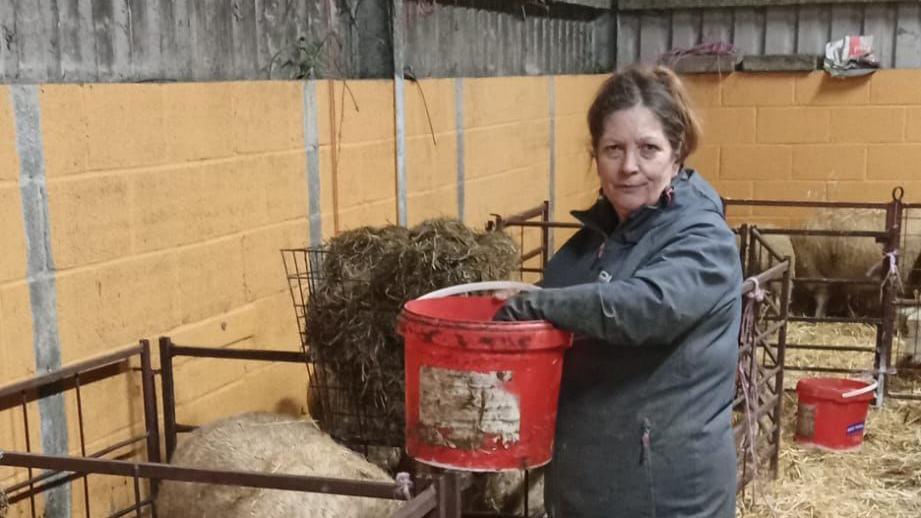 Menyw mewn cot yn bwydo dafad