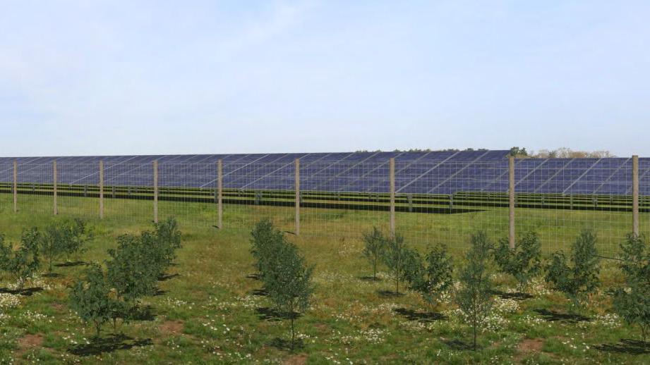 An artist's impression of the solar farm on green land. A fence sits in front of the solar panels as well as small trees.