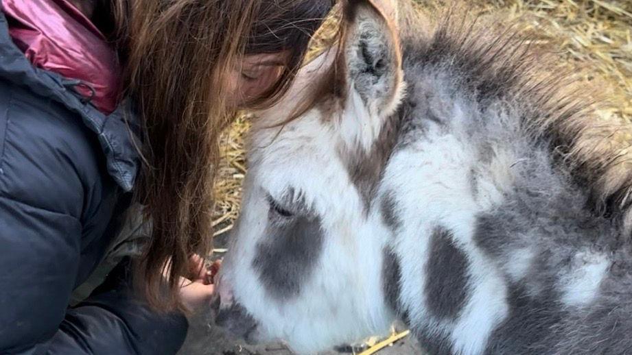 Claudia Nicholson and a pony